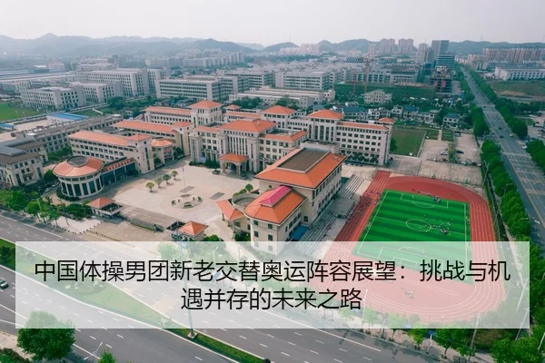 中国体操男团新老交替奥运阵容展望：挑战与机遇并存的未来之路